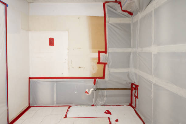 Best Water Damage & Mold Remediation  in Hawthorne, CA