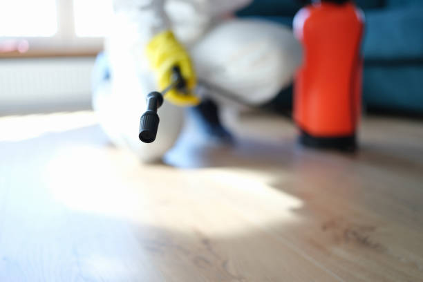 Best Commercial Mold Inspection  in Hawthorne, CA