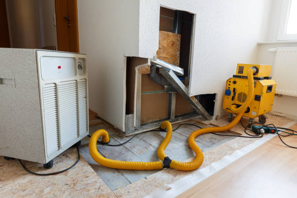 Best Residential Mold Inspection & Testing  in Hawthorne, CA