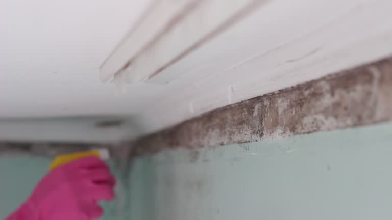 Best Indoor Air Quality Assessment  in Hawthorne, CA
